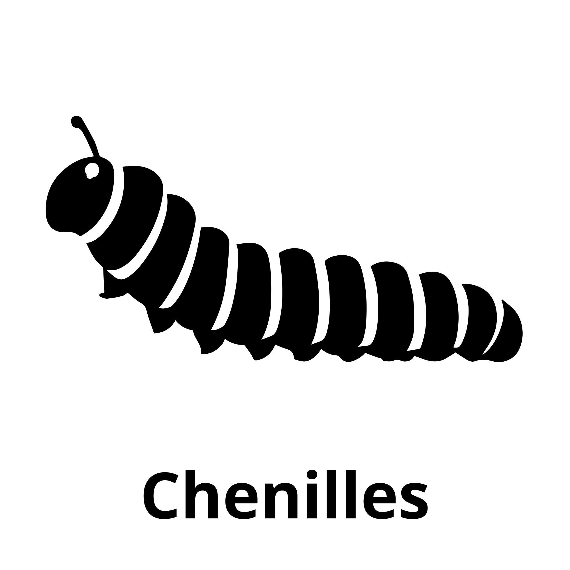Chenilles
